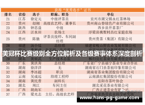 美冠杯比赛级别全方位解析及各级赛事体系深度剖析