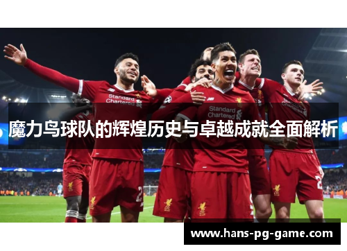 魔力鸟球队的辉煌历史与卓越成就全面解析