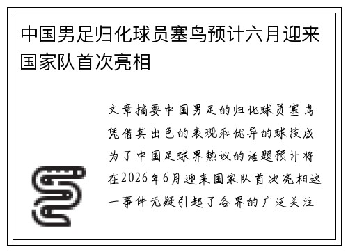 中国男足归化球员塞鸟预计六月迎来国家队首次亮相