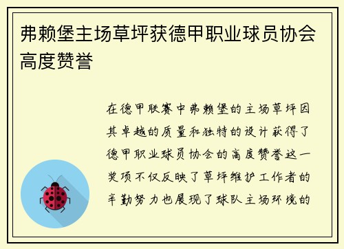 弗赖堡主场草坪获德甲职业球员协会高度赞誉